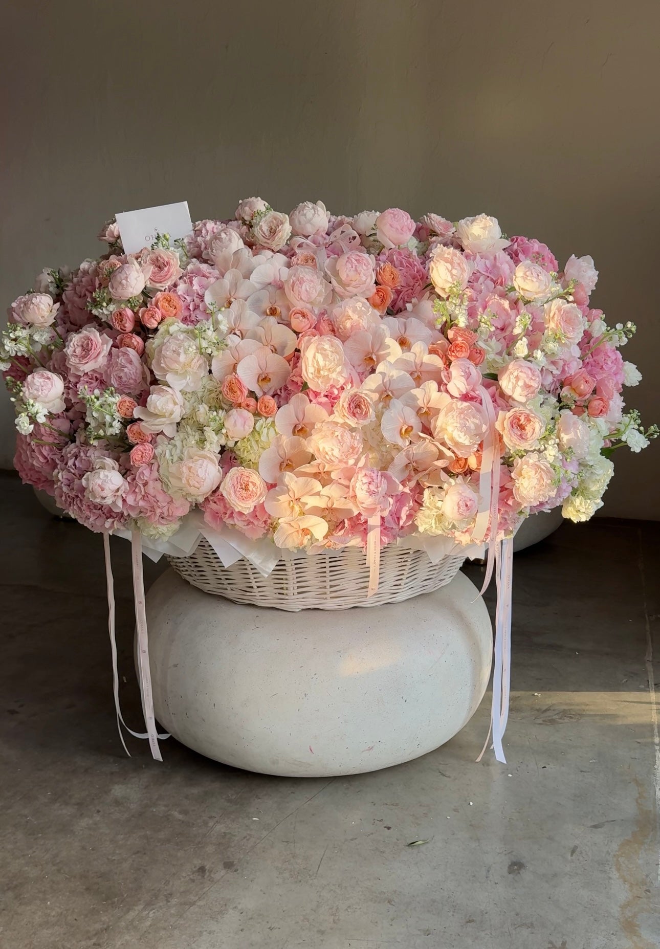 Peach Garden XXL