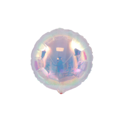 
                  
                    Halographic Balloon Large
                  
                