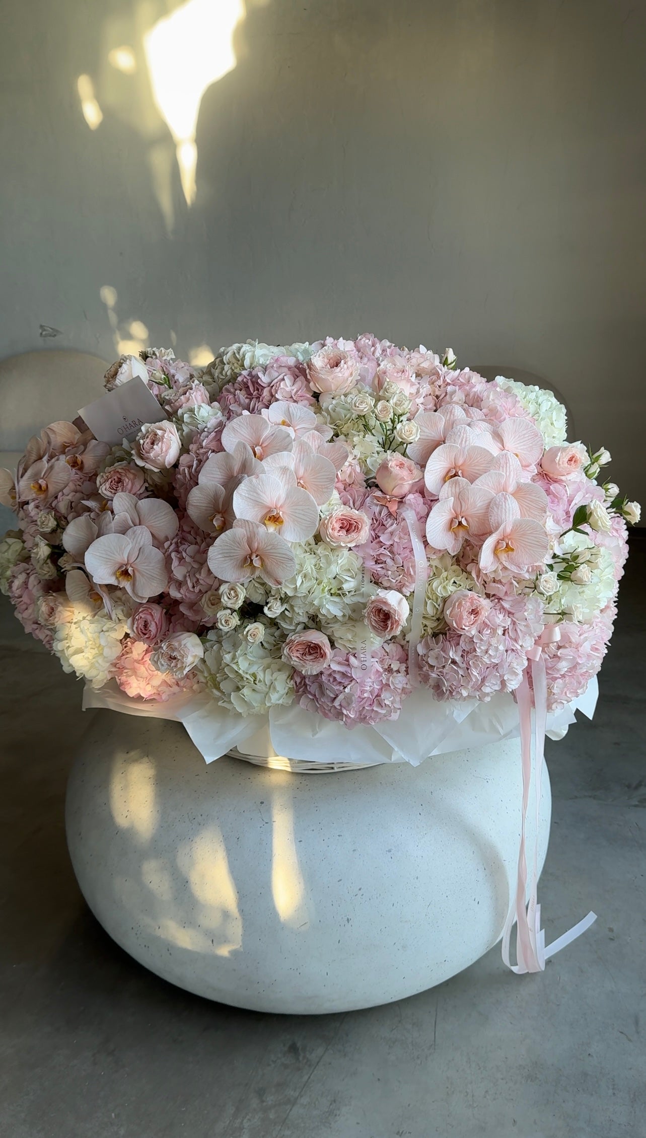 Pink serenade L